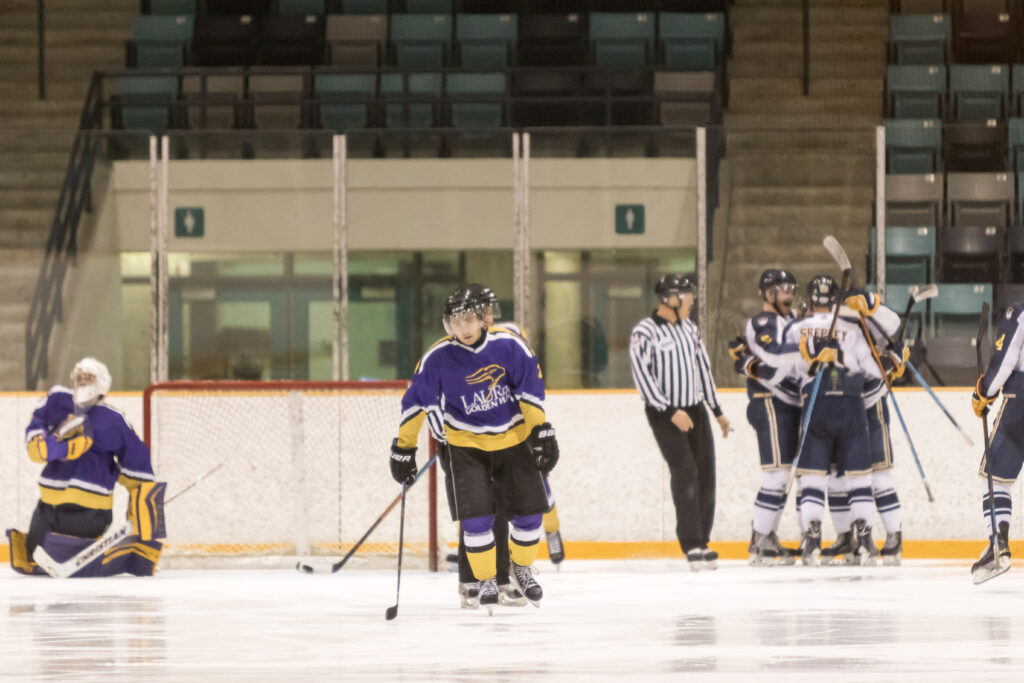 ‘Little things’ cause men’s hockey loss