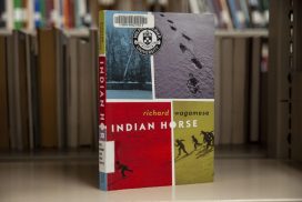 the indian horse novel