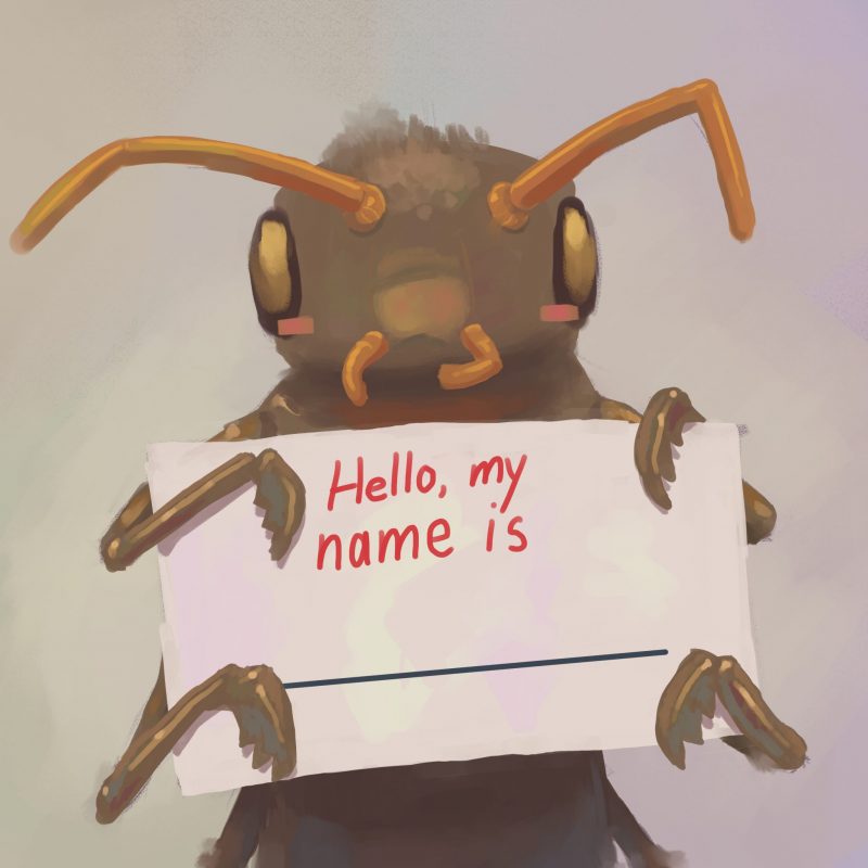 Graphic of cockroach holding a name sign.