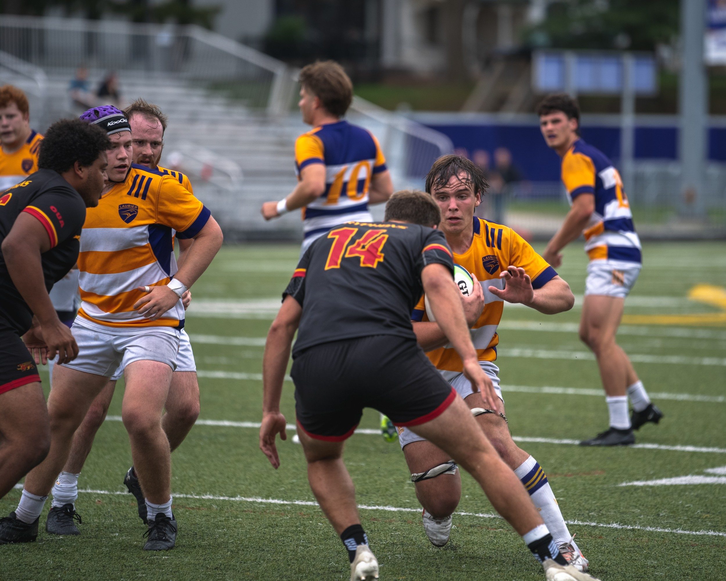 Gryphons take OUA Championship rematch against Golden Hawks men’s rugby   