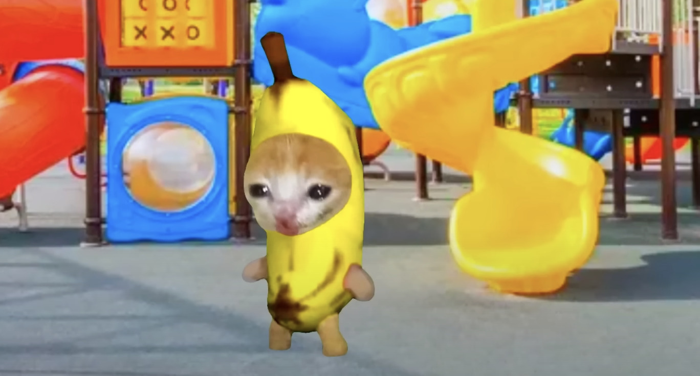Cat photoshopped in a banana costume